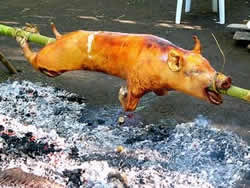cerdo asado, Cuba